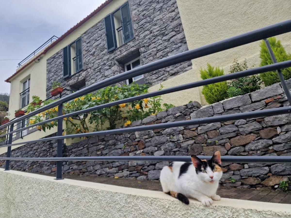 Green Valley House Madeira Ribeira Brava Exterior photo